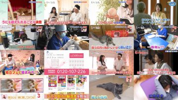 250716 Neko Jiman – ex-AKB48 Kuramochi Asuka – HD.mp4