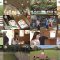 250719 Shichouson Tekuteku Sanpo – ex-AKB48 Iriyama Anna – HD.mp4