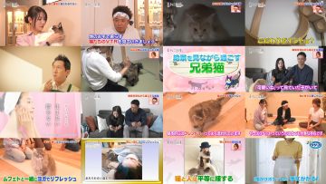 250723 Neko Jiman – ex-AKB48 Kuramochi Asuka – HD.mp4