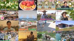 250727 Nanikore Chin Hyakkei – ex-Nogizaka46 Saito Chiharu – HD.mp4