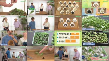 250727 Syumi no Engei Yasai no Jikan – ex-AKB48 Oya Shizuka – HD.mp4