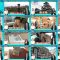 250802 Hatena no Ten – ex-HKT48 Murashige Anna – FHD.mp4