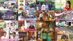 250806 Gariventure V – Sakurazaka46 Masumoto Kira – HD.mp4