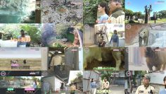 250806 THE BACKYARD – ex-Nogizaka46 Matsumura Sayuri – HD.mp4