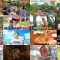 250806 Yoru no Brunch Natsuyasumi SP – ex-Nogizaka46 Akimoto Manatsu – HD.mp4