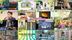 250808 DayDay. – ex-NMB48 Shibuya Nagisa – HD.mp4