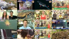 250812 Henteko Seibutsu Academy – ex-HKT48 Murashige Anna – HD.mp4