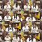 250820 Nekojita SHOWROOM – Nogizaka46 – FHD.mp4
