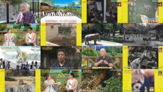 250821 Soko ni Wa Itsumo Kimi ga Ita! – ex-AKB48 Takahashi Minami – HD.mp4