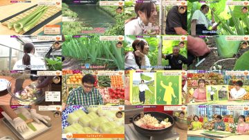 250824 Umai! – ex-SKE48 Suda Akari – HD.mp4