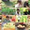 250824 Umai! – ex-SKE48 Suda Akari – HD.mp4