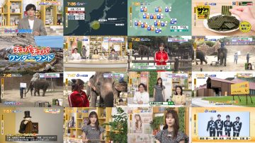 250905 Chiba Asa Live Morning Compass 0730 – ex-AKB48 Yoshikawa Nanase – HD.mp4