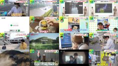 250905 DayDay. – ex-NMB48 Shibuya Nagisa – HD.mp4