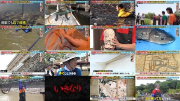 250914 Kinkyu SOS! Ike no Mizu Zenbu Nuku Dai Sakusen – ex-HKT48 Sashihara Rino, Murashige Anna – FHD.mp4