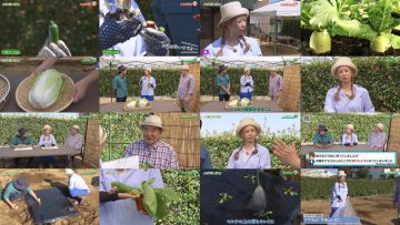 250914 Syumi no Engei Yasai no Jikan – ex-AKB48 Oya Shizuka – FHD.mp4