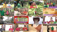 250920 Hokkaidou Gourmet Soudatsu Variety Calorie Pay – ex-HKT48 Murashige Anna – FHD.mp4