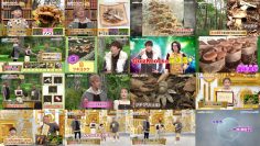 251006 Degawa Tetsurou no Quiz Hoo ~ School – ex-AKB48 Minegishi Minami – FHD.mp4