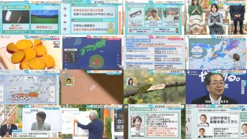251008 Hiruobi – ex-AKB48 Takahashi Minami – FHD.mp4