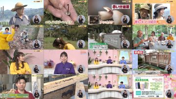 251011 Ima Doki! Saitama – ex-AKB48 Matsui Sakiko – FHD.mp4