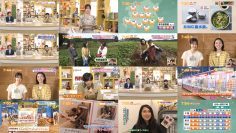 251017 Chiba Asa Live Morning Compass 0730 – ex-AKB48 Yoshikawa Nanase – FHD.mp4