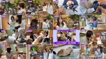251024 Nogizaka Haishin-chuu – Nogizaka46 – FHD.mp4