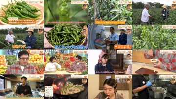 251026 Umai! – ex-AKB48 Yokoyama Yui – FHD.mp4