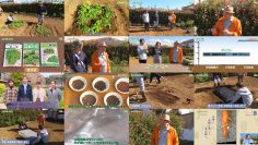 251102 Syumi no Engei Haru no Nigauma – ex-AKB48 Oya Shizuka – FHD.mp4