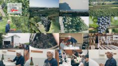 251102 Yutaka na Shoku no Mirai wo Sagashite – ex-Keyakizaka46 Nagahama Neru – FHD.mp4