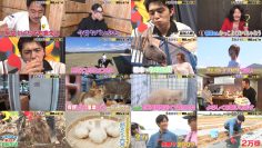 251109 NTV+ [Ashita wa Ariyoshi Seminar] – ex-AKB48 Oguri Yui – FHD.mp4