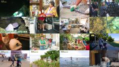 251129 Hakken! Ritou no Hon Waka Kurashi – ex-Keyakizaka46 Nagahama Neru – FHD.mp4