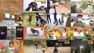 251130 Ariyoshi no Okane Hakken Totsugeki! Kaneo-kun – ex-Nogizaka46 Matsumura Sayuri – FHD.mp4