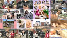 251206 Inu Jikan – ex-AKB48 Shimazaki Haruka – FHD.mp4