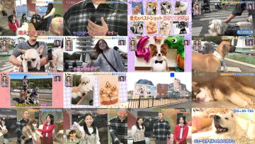 251206 Inu Jikan – ex-AKB48 Shimazaki Haruka – FHD.mp4