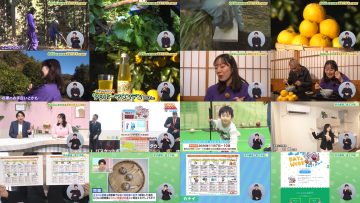 251213 Ima Doki! Saitama – ex-AKB48 Matsui Sakiko – FHD.mp4