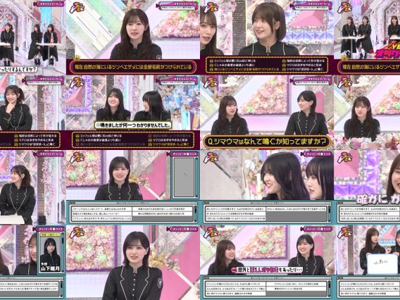 251214 Chokosaku 265 – Sakurazaka46 – FHD.mp4