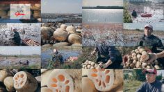 251214 Yutaka na Shoku no Mirai wo Sagashite – ex-Keyakizaka46 Nagahama Neru – FHD.mp4