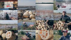 251214 Yutaka na Shoku no Mirai wo Sagashite – ex-Keyakizaka46 Nagahama Neru – FHD.mp4