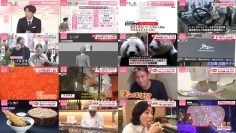 251215 every. – HKT48 – FHD.mp4
