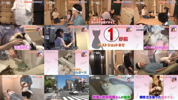 251220 Neko Jiman – ex-AKB48 Kuramochi Asuka – FHD.mp4