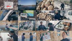 251221 Yutaka na Shoku no Mirai wo Sagashite – ex-Keyakizaka46 Nagahama Neru – FHD.mp4