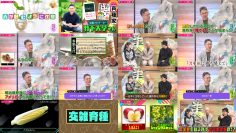 251223 Kotoge Eiji no Nante Bi da! – Nogizaka46 Ikeda Teresa – FHD.mp4