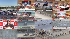 251229 Tokyo Daishouten 2025 – Nogizaka46 Akimoto Manatsu, Kitano Hinako – FHD.mp4