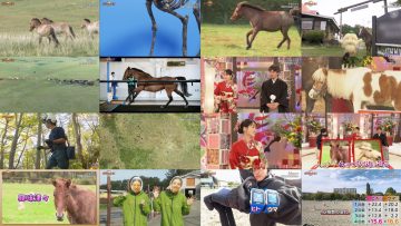 260104 Darwin ga Kita! – ex-Keyakizaka46 Nagahama Neru – FHD.mp4