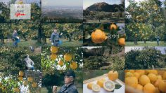 260111 Yutaka na Shoku no Mirai wo Sagashite – ex-Keyakizaka46 Nagahama Neru – FHD.mp4