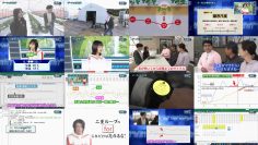 260116 NHK Koukoukoza Information I – Hinatazaka46 Shogenji Yoko – FHD.mp4