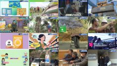 260122 Chikyuu wa Houchi Shitete Mo Sodatanai – ex-Nogizaka46 Ito Marika – FHD.mp4