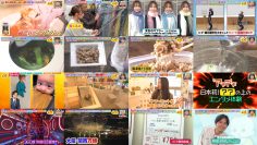 260123 Osaka Honwaka TV – ex-NMB48 Shibuya Nagisa – FHD.mp4