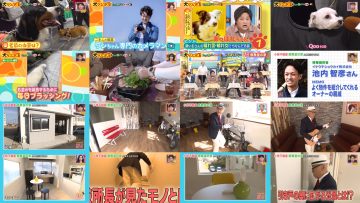 260124 Doyou wa Dameyo! – NMB48 Abe Wakana, Mikamo Kurumi – FHD.mp4