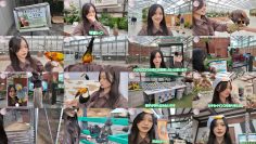 260127 Sakurazaka Youtube Channel – Sakurazaka46 – FHD.mp4