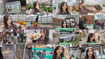 260127 Sakurazaka Youtube Channel – Sakurazaka46 – FHD.mp4